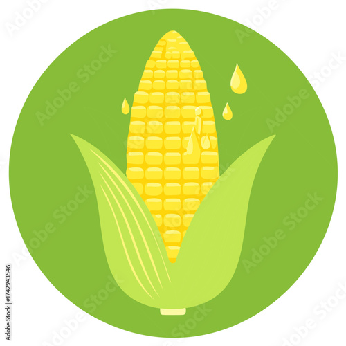 Fresh Sweet Corn Cob with Dripping Drops Illustration in Green Circle