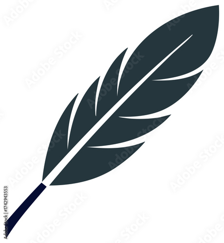 Simple elegant dark gray feather vector illustration design element