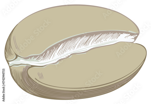 Isolated Hand-Drawn Coffee Bean Vector Illustration for Graphic Design Projects and Coffee-Related Products