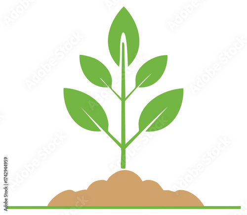 Green seedling plant growing from brown soil representing growth and nature