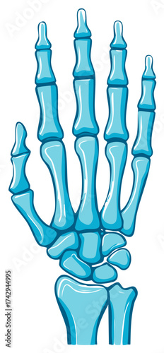 Illustration of a Human Hand Skeleton with Blue Bones Isolated on White for Medical Education or Graphic Design