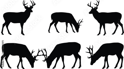 Deer silhouette collection grazing and standing, wild animal vector illustration, forest wildlife design, nature art, hunting decoration, isolated