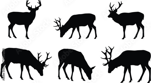 Deer silhouette vector collection, grazing and standing poses, wild forest animal illustration, wildlife nature design, hunting art, isolated black shape