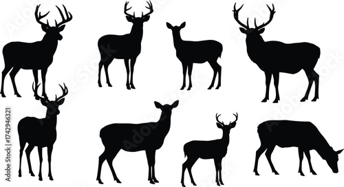 Deer silhouettes collection, male and female profiles, antler and non‑antler variations, wildlife vector art, forest animal icons, hunting design illustration