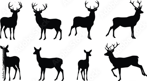 Silhouette of deer and stag, antlered wildlife collection, forest animals, isolated vector illustration, elegant wild deer group design