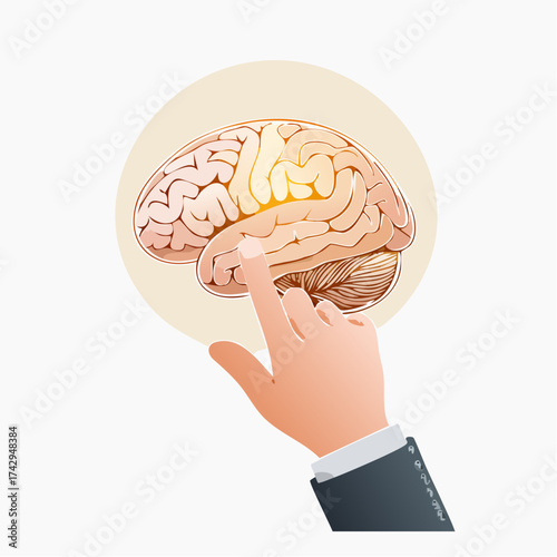 Conceptual illustration of a finger touching the human brain, symbolizing intelligence, memory, learning, and mental processes
