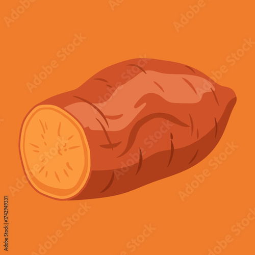 A single sweet potato with a cut end showing its orange flesh.