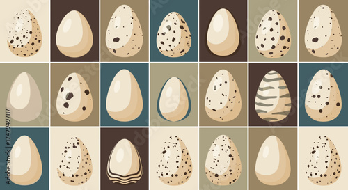 Diverse Collection of Bird Eggs with Varying Patterns and Colors.