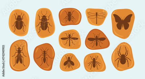 Insects Preserved in Amber A Glimpse into Prehistoric Life.
