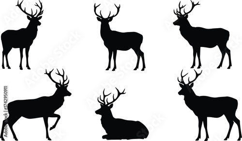 Deer silhouettes set, antler variations, wildlife vector illustration, forest animal icons, hunting design artwork, stag profile collection, nature art illustration
