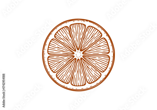 Orange hand drawn simple engraved vector illustration