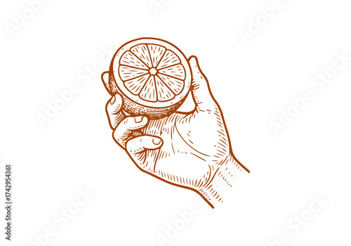 Orange hand drawn simple engraved vector illustration
