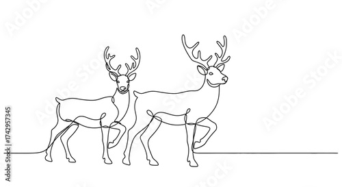 A pair of majestic stags with large antlers drawn in a continuous single line. Minimalist and elegant wildlife vector illustration of forest animals