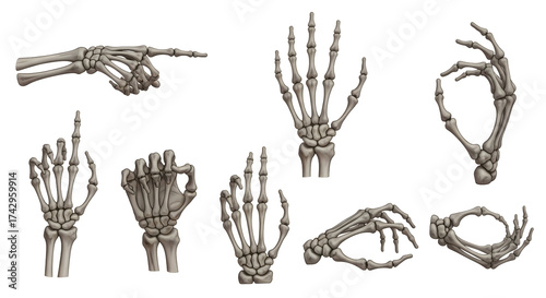 Illustration of skeletal hands in various gestures Isolated on transparent background, png