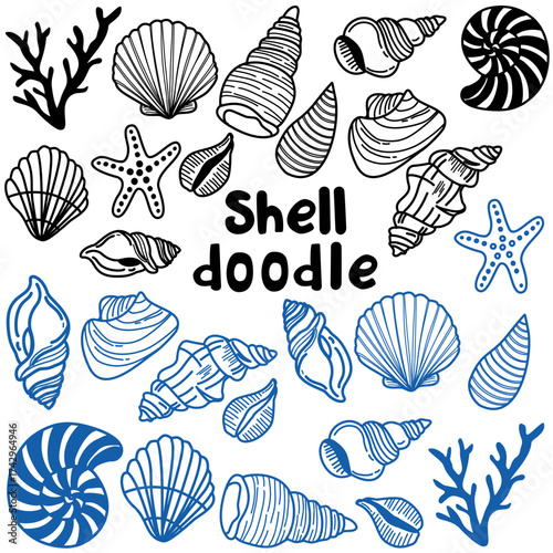 Sea shell collection line art. Doodle various Seashells set. Different shapes. Outline modern style. Summer, vacation, ocean, beach concept.