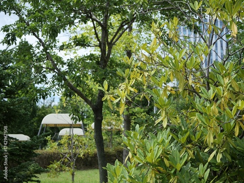 都会の公園の風景