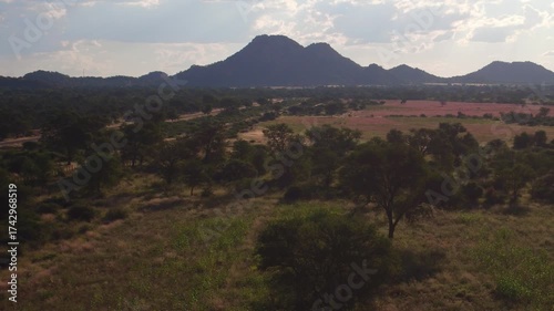 aerial view of bush in Africa , vegetation with acacia trees and shrubs at sunset