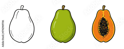 Minimalist hand-drawn vector illustration set showing papaya fruit in outline, whole green, and half-cut with seeds
