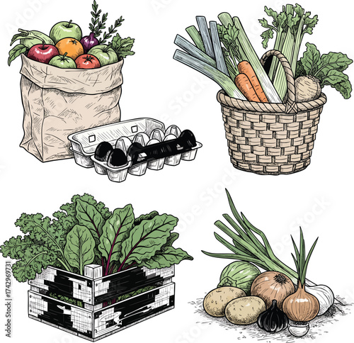 Handdrawn collection of fresh farm produce including fruits vegetables leafy greens and eggs.