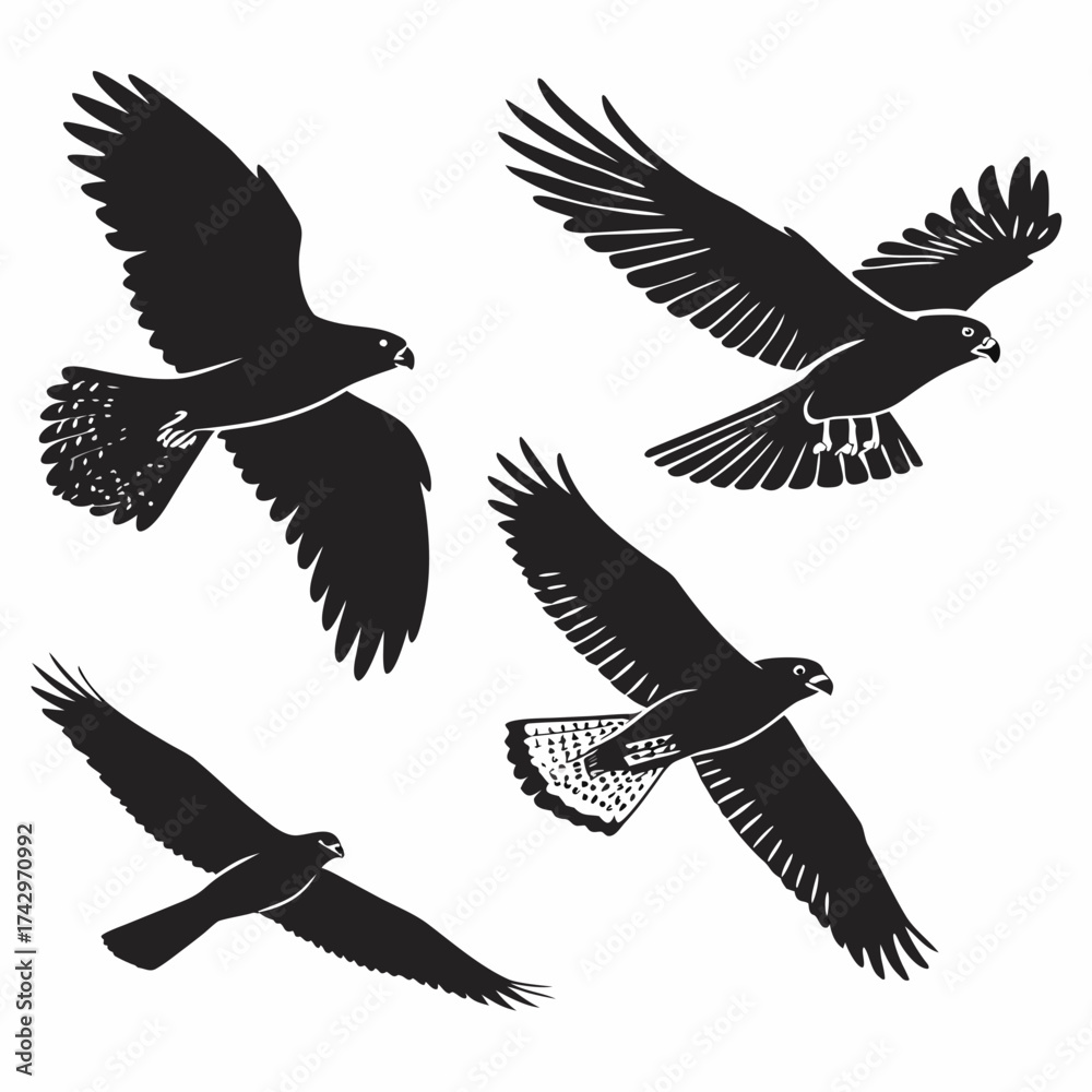 Obraz premium set of vector birds