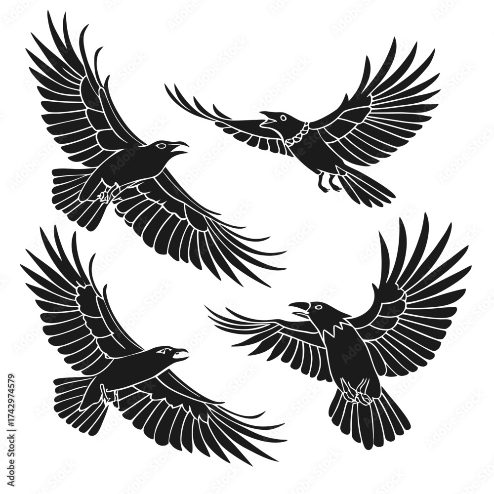 Fototapeta premium eagle vector illustration
