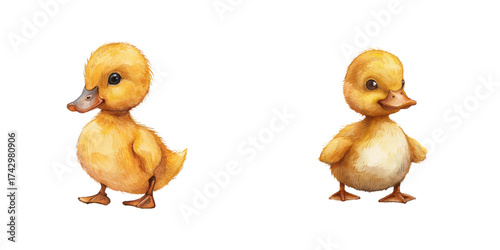 cute duckling watercolor vector illustration
