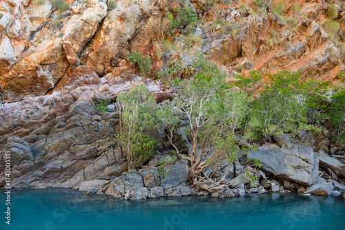 Life springs from the rocks - Talbot Bay, WA, Australia