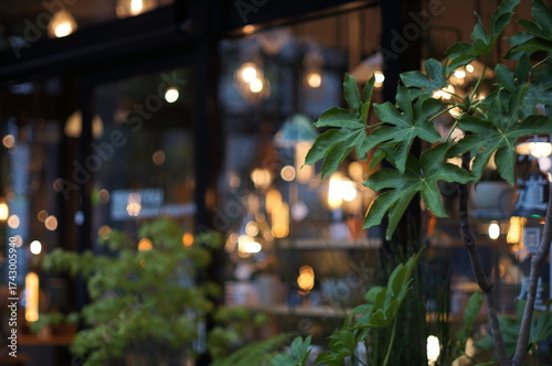 店先の植物と明るい照明