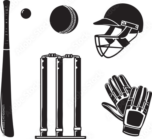 Cricket equipment bat ball helmet wickets gloves sport
