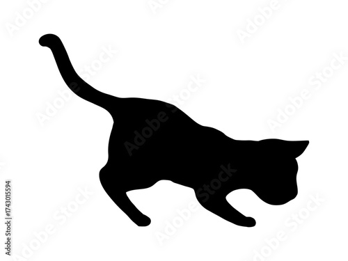 こねこ　シルエット　じゃれようとして身構える子ねこ