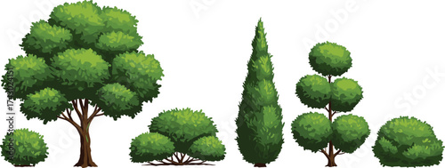 Diverse tree and shrub types, landscaping elements, botanical illustration, green foliage variety, nature reference for garden design, outdoor vegetation shapes