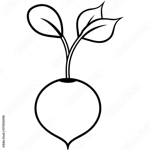 Illustration of a radish with leaves in black outline against a white background in a simple drawing style