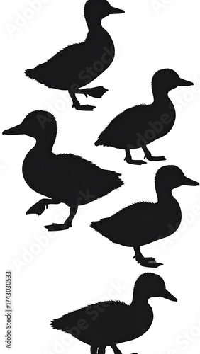 Five black duck silhouettes
