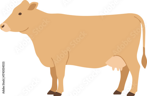 Simple Flat Style Complete Cow Farm Animal Illustration Graphic Design