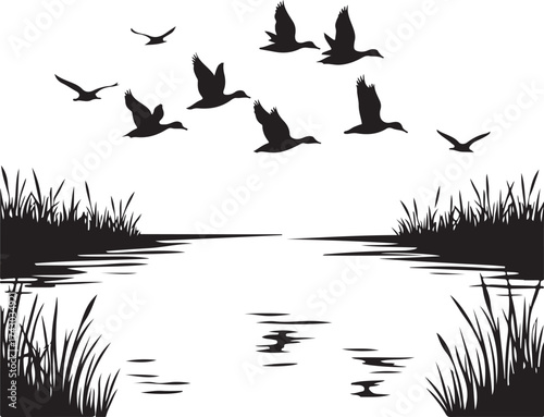 Flock of ducks flying over a lake with reeds migration