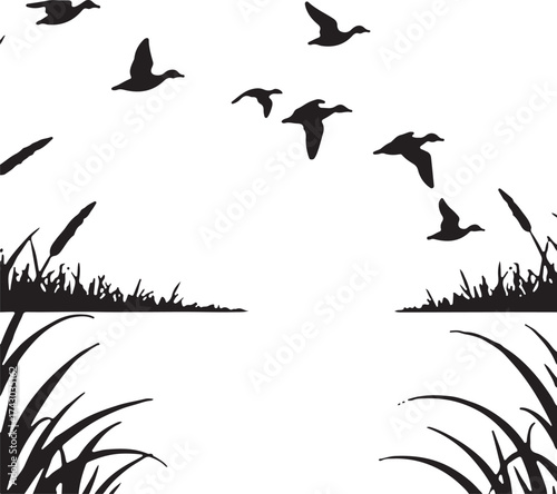 Flock of ducks flying over marsh grass migration