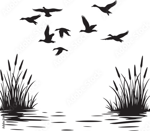 Flock of ducks flying over water and cattails migration