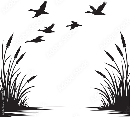 Flock of ducks flying over water and reeds migration