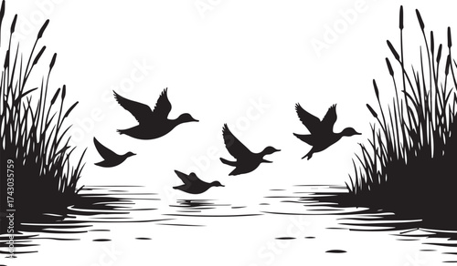 Flock of ducks flying over water near reeds flight