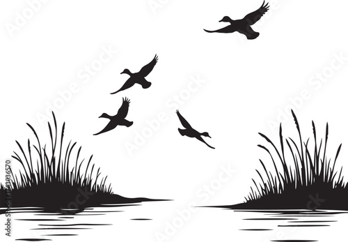Four ducks flying over water with reeds birds wildlife