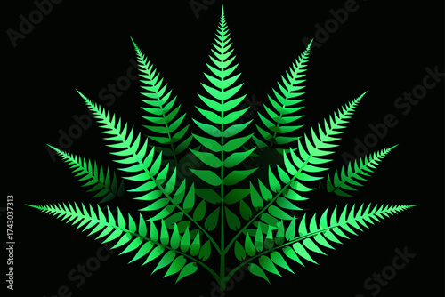 green fractal ferns radiating outward on a black g