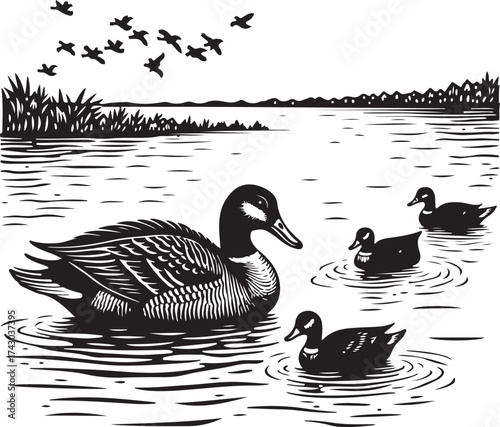 Mother duck and ducklings swimming on a lake with birds flying