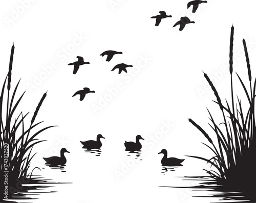 Silhouette ducks swimming and flying over water with cattails