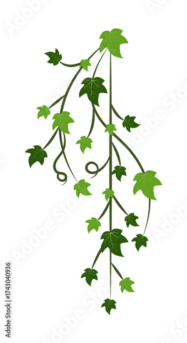Green Ivy Vine Leaves Decoration – Climbing Plant Vector Design