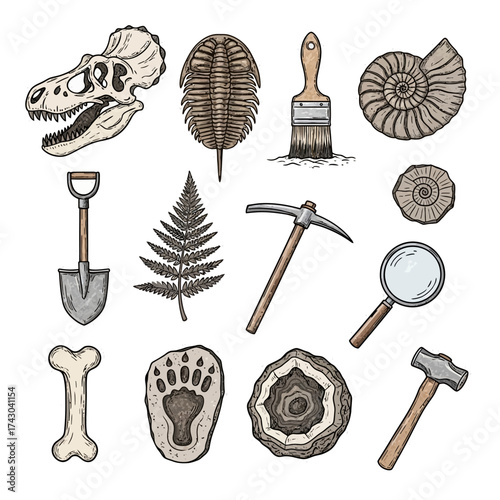 Paleontology Tools and Fossils - A Collection of Archaeological Finds.