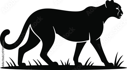 Cheetah Silhouette Stalking in Grass – Cinematic Wildlife Scene