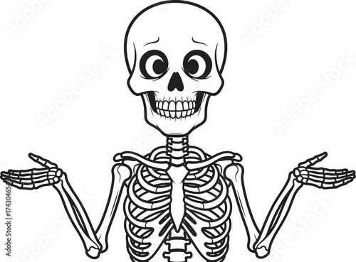 Skeleton cartoon character shrugging with arms out illustration