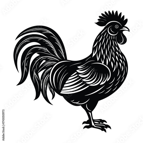 Majestic black rooster illustration in profile view, featuring bold lines and intricate feather patterns isolated on white