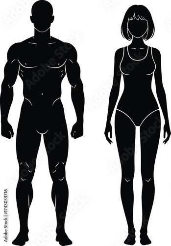 Male and female silhouette, human anatomy, body shape comparison, black vector, educational design, fitness reference, frontal view, artistic figure
