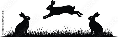 Silhouette of rabbits in grass field, jumping hare between two sitting bunnies, black and white wildlife animal vector illustration
